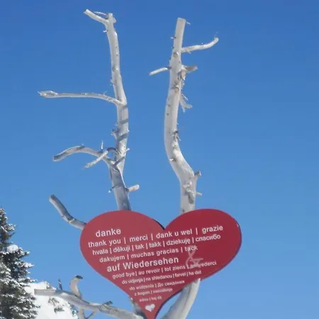 Daire Friedheim, Haus